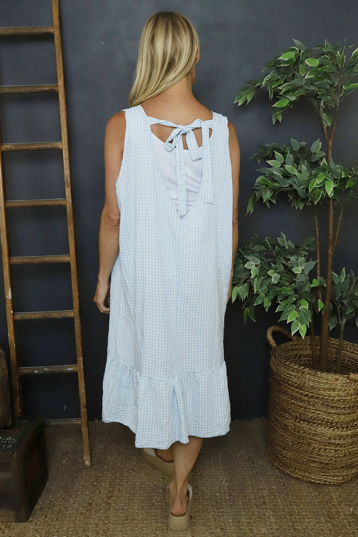Imani Sleeveless Gingham Dress Light Blue 6 Imani Sleeveless Gingham Dress Light Blue - Image 4
