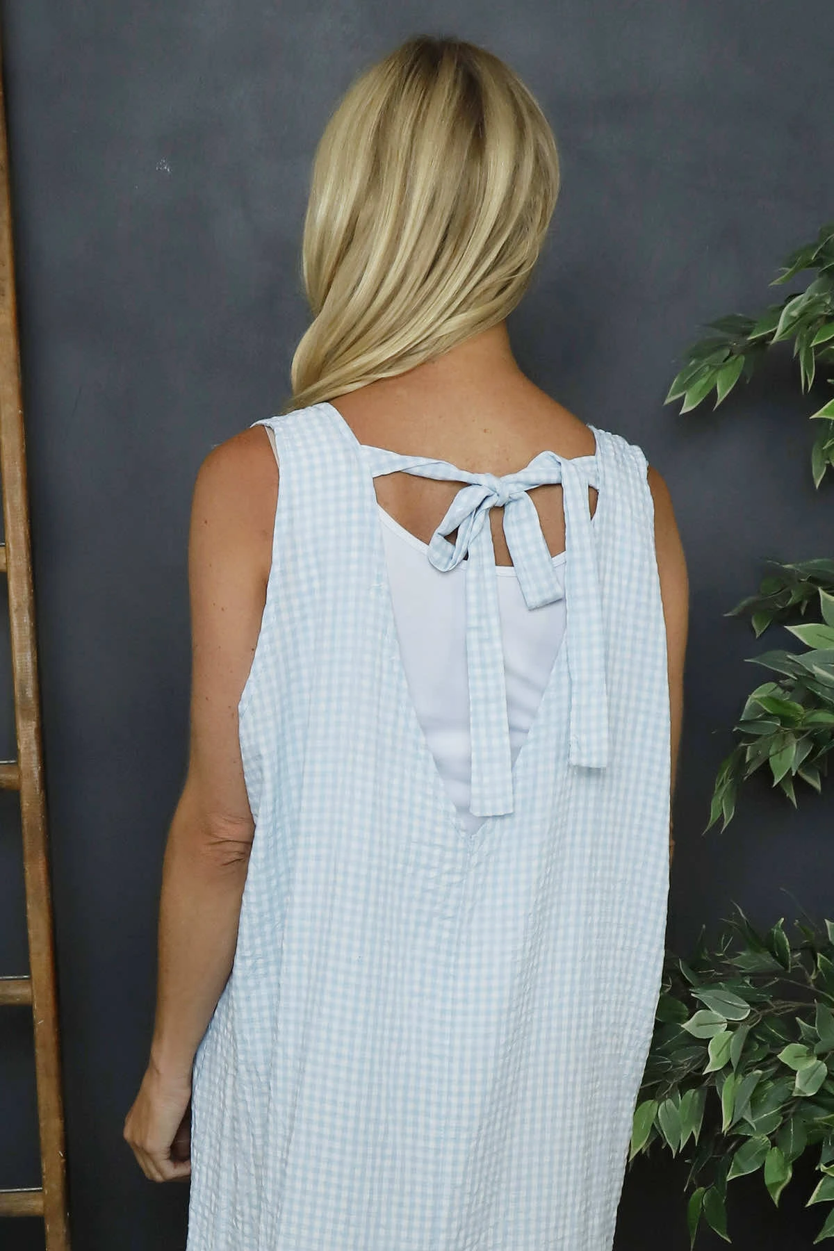 Imani Sleeveless Gingham Dress Light Blue 4 Imani Sleeveless Gingham Dress Light Blue - Image 2
